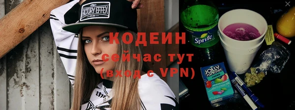 индика Кукмор