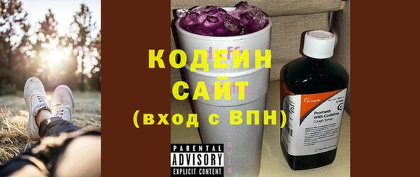 индика Кукмор
