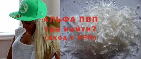индика Кукмор