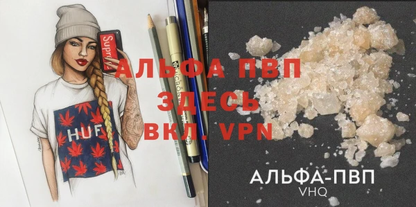 индика Кукмор