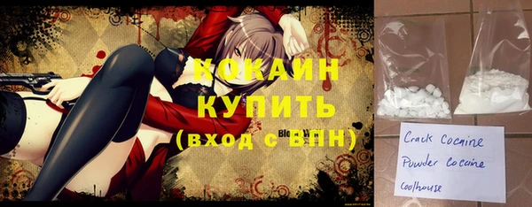 индика Кукмор